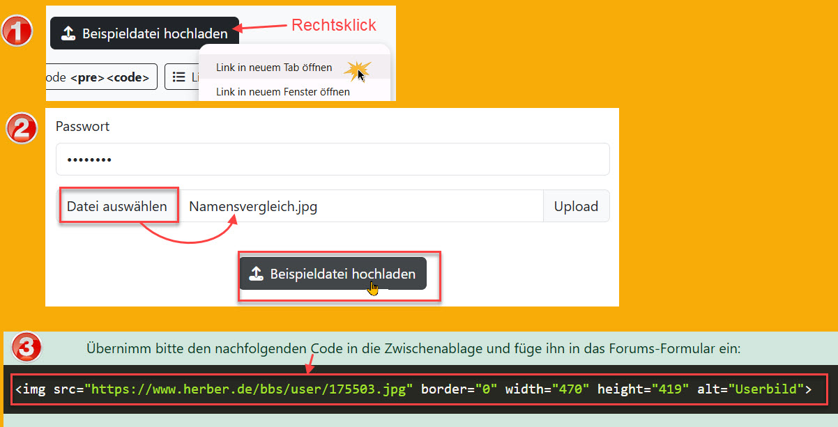 Userbild