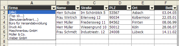 Autofilter-Auswahlfeld